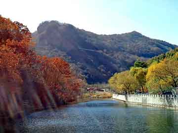 新澳天天开奖资料大全旅游团，新集影视